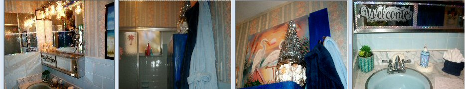 Local and Guest Areas